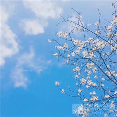 bd半岛·体育截图